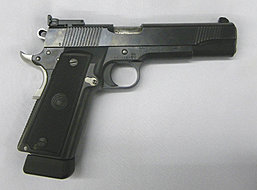 Peters Stahl Kal. 45 AcP - gebraucht